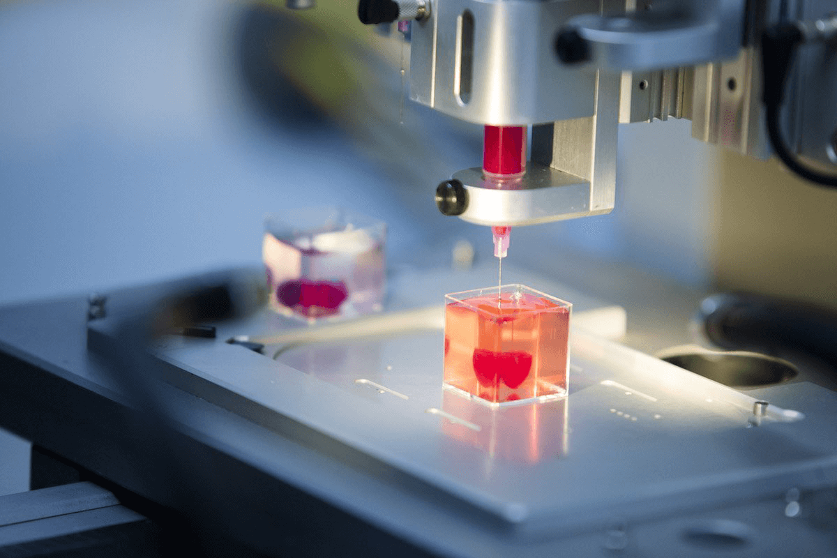 bio-impression 3D