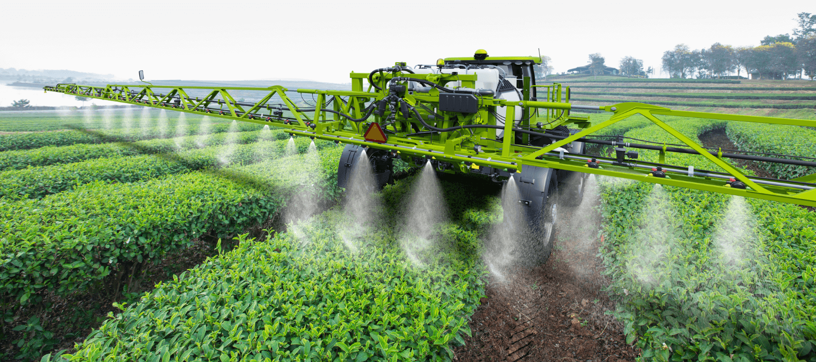 biotechnologie agricole